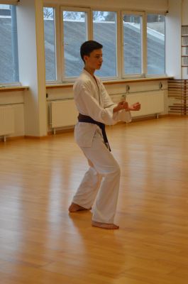 Karate PrÃ¼fungsvorbereitung mit PrÃ¼fung
