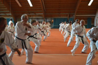 Keywords: Shorin Ryu Seibukan Karate; Jinbukan Kobudo