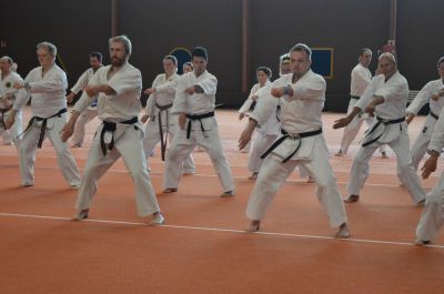 Keywords: Shorin Ryu Seibukan Karate;Jinbukan Kobudo