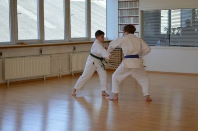 Schlüsselwörter: Budo Akademie MÃ¼nchen;Shorin Ryu Seibukan Karate