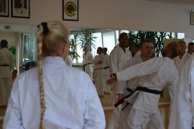 Schlüsselwörter: Budo Akademie MÃ¼nchen; Shorin Ryu Seibukan Karate