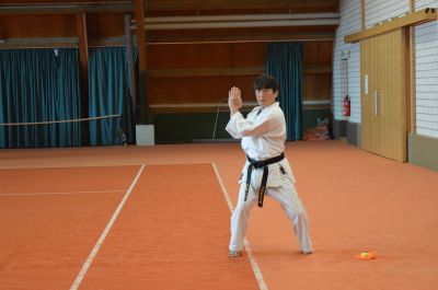 Schlüsselwörter: Shorin Ryu Seibukan Karate;Jinbukan Kobudo